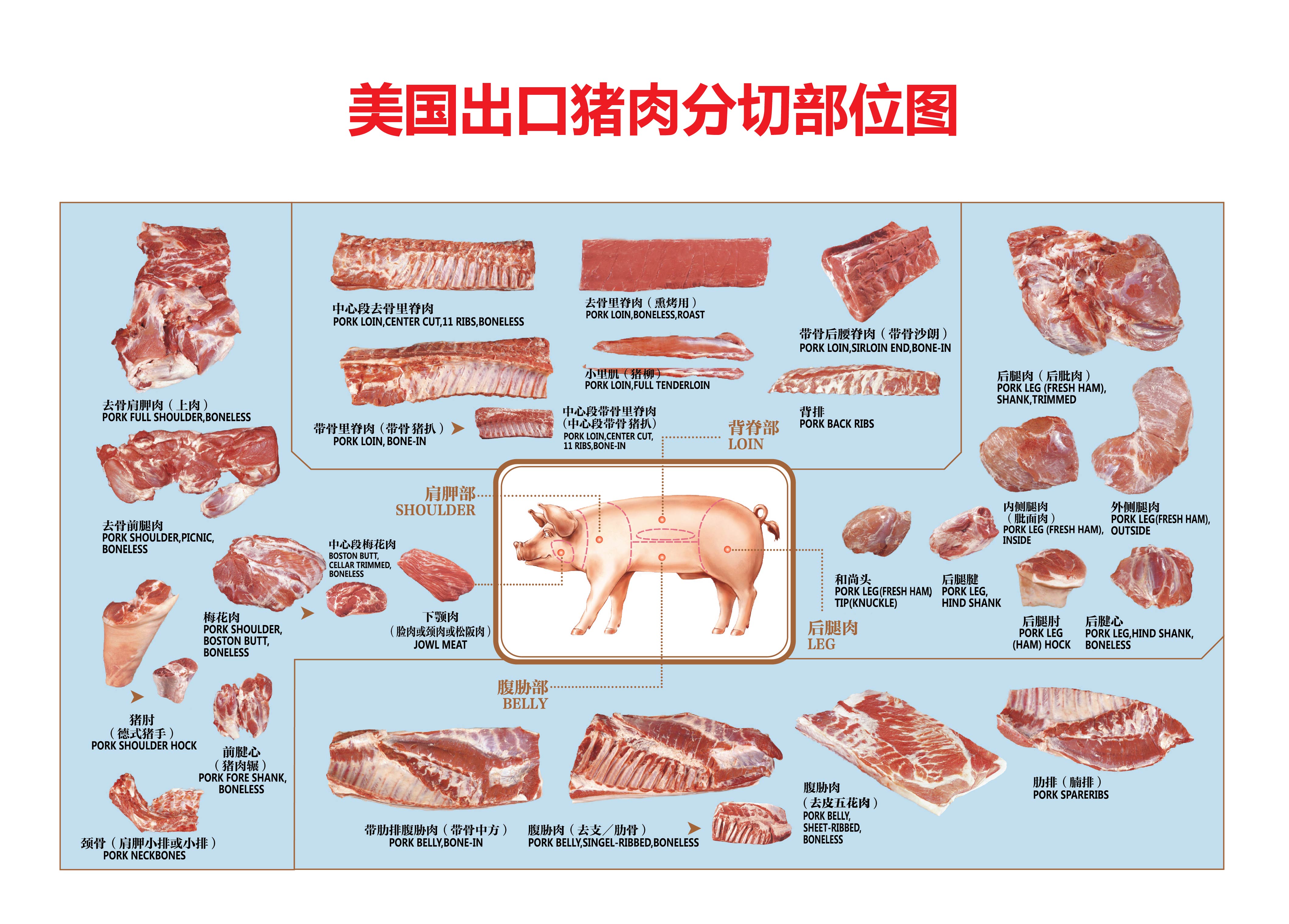 猪肉分割部位图设计图__广告设计_广告设计_设计图库_昵图网nipic.com